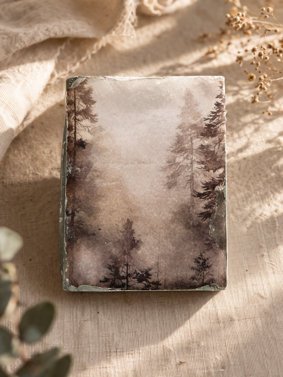 Vol I Capítulo I - Bosque velado (agotado)